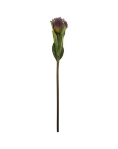 Цветок искусственный Леукоспермум высота 68 см без упаковки 265 601 Lefard