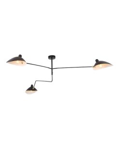 Потолочная люстра Spruzzo SL305 402 03 St-luce