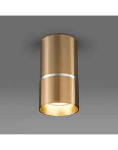 Потолочный акцентный светильник DLN106 GU10 золото Elektrostandard