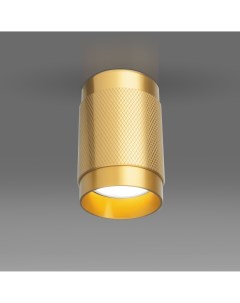 Потолочный акцентный светильник DLN109 GU10 золото Elektrostandard