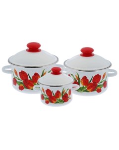 Набор эмалированной посуды 3пр 15 Тюльпан 2 0 3 0 4 0л N15B78 Сибирские товары