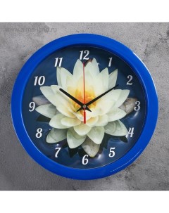 Часы настенные Цветы Кувшинка плавный ход d 28 см Соломон