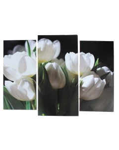 Модульная картина Белые тюльпаны 2 25х52 1 30х60 60х80 см Nobrand