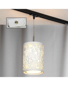 Трековый однофазный светильник Track Lights LSF 2306 01 TAW Lussole