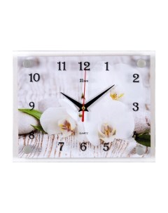 Часы Настенные 21 Век Спа Белые Орхидеи 2026 113 Рубин