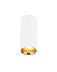 Потолочный светильник DLR030белый золотой Elektrostandard