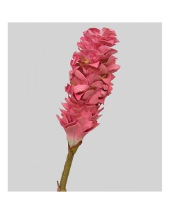 Искусственное растение TR 566L Цветок имбиря Art east