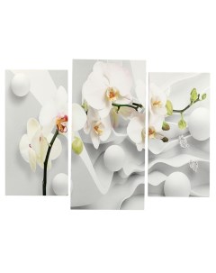 Картина модульная на подрамнике Ветка Орхидеи 2 25х50 30х60 см 80х60 см Nobrand
