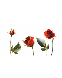Картина на холсте с подрамником ХитАрт Три розы 40x21 см Модулка