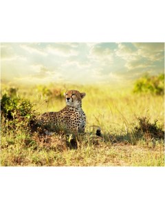 Картина на холсте с подрамником ХитАрт Хитрый леопард 100x75 см Модулка