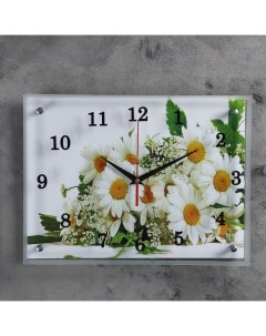Часы настенные серия Цветы Ромашки 30х40 см Сюжет