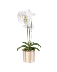 Искусственный цветок Орхидея 24х15х52 см 2394 DS Гласар