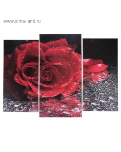 Модульная картина Роза под дождем 2 25х52 1 30х60 60х80 см Nobrand