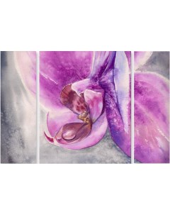Картина модульная на холсте Орхидея вблизи 150x103 см Модулка