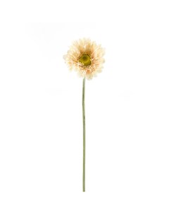 Цветок искусственный на ножке Гербера кремовая 57 см 7180252 Gloria garden
