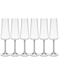 Набор бокалов для шампанского ИЗ 6 ШТУК XTRA 210 МЛ ВЫСОТА 26 6 см Bohemia Crystal Crystal bohemia