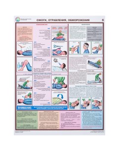 Плакат информационный оказание первой помощи пострадавшим ком из 6 ти лист Технотерра
