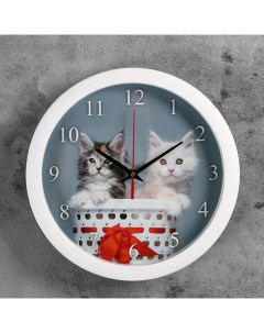 Часы настенные Животный мир Котята плавный ход d 28 см Соломон