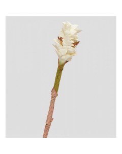 Искусственное растение TR 566S Цветок имбиря Art east