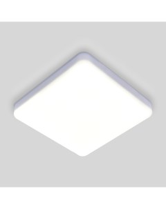 Накладной потолочный светодиодный светильник DLS043 Elektrostandard