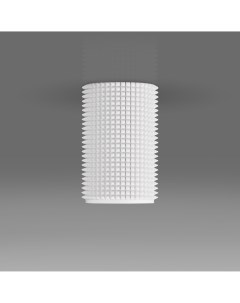 Потолочный акцентный светильник DLN112 GU10 белый Elektrostandard