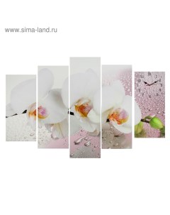 Часы настенные модульные Белая орхидея 80 x 140 см Сюжет