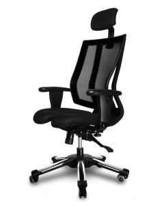 Анатомическое кресло Harachair 118219 Hara chair
