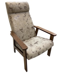 Кресло для гостиной Кресло Вилора max00037 Максима