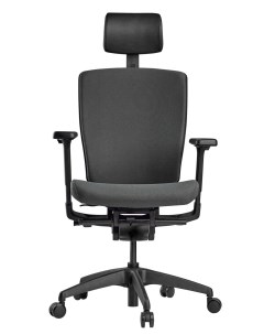 Компьютерное кресло для взрослых AEON P01B GREY Schairs