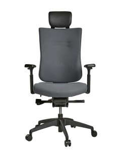 Компьютерное кресло для взрослых TON F01B Schairs