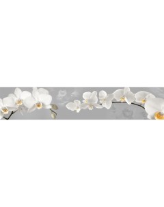 Кухонный фартук Белые орхидеи 2586 300х60см АБС пластик фотопечать Dellitas