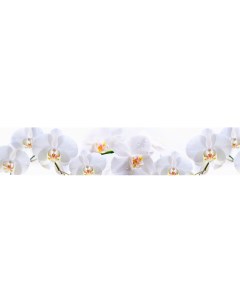 Кухонный фартук Белая орхидея на белом 245 200х60см АБС пластик фотопечать Dellitas