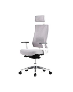Эргономичное офисное кресло X Trans XTR 11WAL AL серое каркас белый Falto