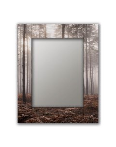 Зеркало настенное Лесной туман 04 0029 50х65 50 х 65 см разноцветный Дом корлеоне