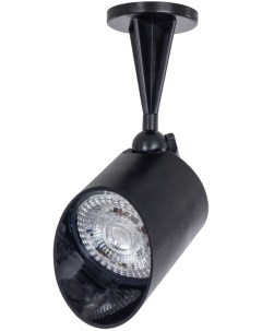 Прожектор уличный светодиодный черный Elsie A1024AL 1BK Arte lamp