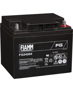 Аккумуляторная батарея FG24204 Fiamm