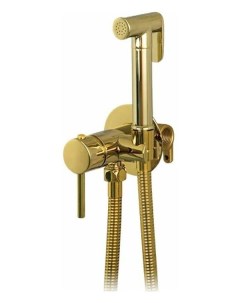 Гигиенический душ F7505 3 со смесителем золото Frap
