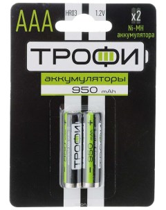 Аккумуляторная батарея ААА HR03 2BL 2 шт Трофи