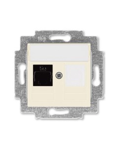 Компьютерная розетка EPJ Levit 2CHH295117A6017 cлоновая коcть белый Abb