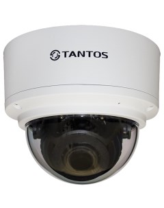 TSi Ve25VPA двухмегапиксельная купольная антивандальная уличная IP камера с вари Tantos