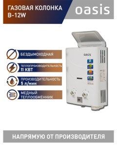 Газовая колонка B 12W Oasis