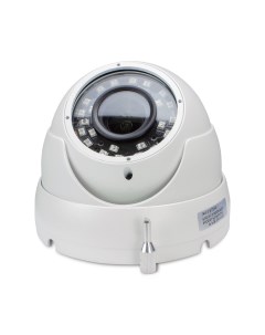 Купольная камера видеонаблюдения IP IP302PR Ps-link