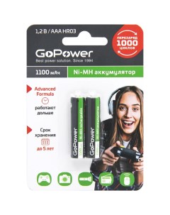 Батарейки HR03 2BL AAA 1100 mAh 2 шт Gopower