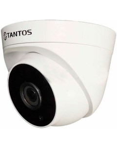 Видеокамера сетевая TSi Eeco25FP Tantos