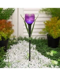 Садовый светильник Лиловый тюльпан Р00002708 1 шт Uniel