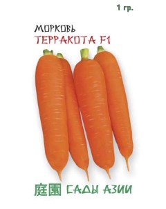 Семена морковь Терракотта F1 1 уп Сады азии