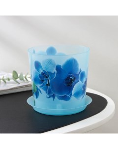 Цветочный горшок для орхидей c поддоном деко Р00002314 1 2 л голубой 1 шт Idea