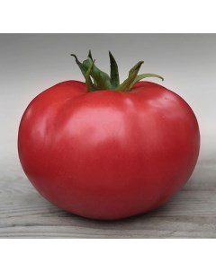Семена томат Бобкат элит F1 1 уп Планета садовод