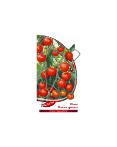 Семена томат Вишня красная 1 уп Агрони