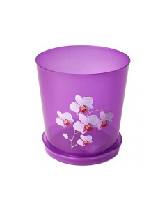 Цветочный горшок для орхидей М7546 3 5 л прозрачный фиолетовый 1 шт Альтернатива